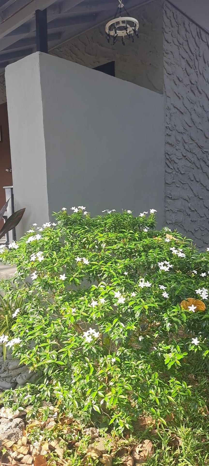 Siam Flora Resort Koh Lanta Bagian luar foto